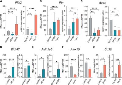 Frontiers | Blood transcriptome responses to PFOA and GenX 